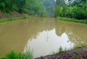 Bán đất Lương Sơn, Hòa Bình, diện tích 1.3 ha đất thổ cư trang trại nghỉ dưỡng hoàn thiện, giá 3.3 tỷ